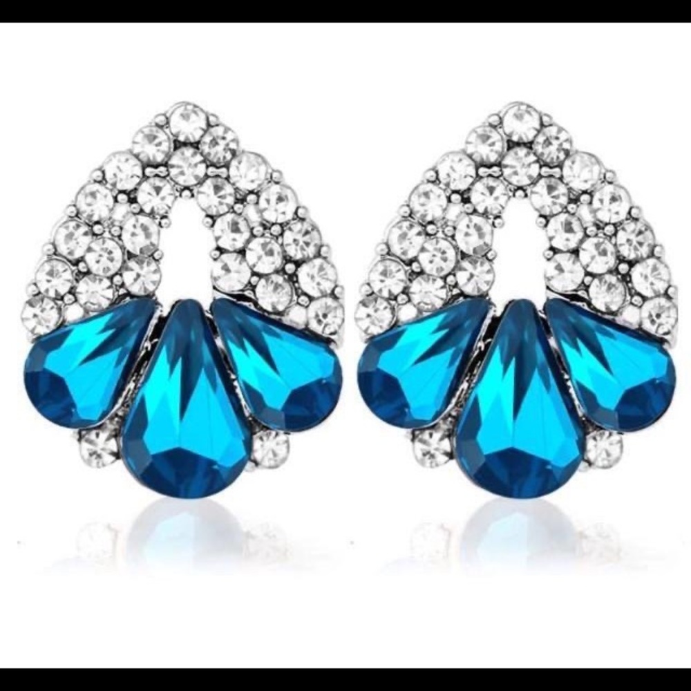 fashion earrings